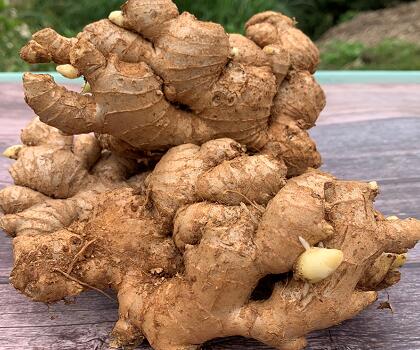 新鮮蔬菜配送:生姜