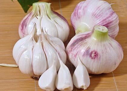 新鮮蔬菜配送:蒜頭